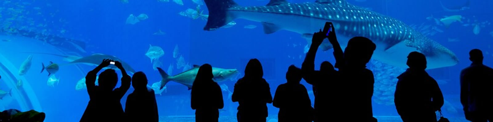 VIP Group Tours VIP Group Tours